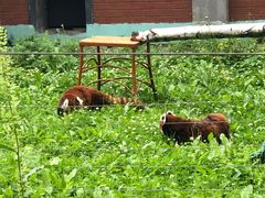 -哈尔滨北方森林动物园