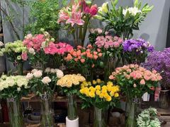 -BOBLOOM花店(宝龙旭辉广场店)