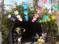 -合肥滨湖国家森林公园