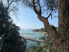 -黄山太平湖风景区