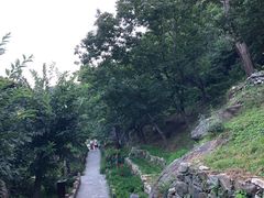 -北京水岸山吧度假村(雁栖镇店)