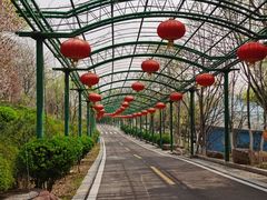 -石家庄市动物园