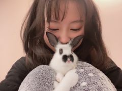 -浣熊柯尔鸭土拨鼠·电玩咖