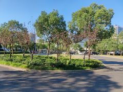 -宁波（鄞州）网球中心-停车场