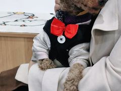 -瑞鹏宠物医院·爱宠堂·骨外专科(西荷分院)