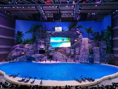 -珠海长隆海洋王国