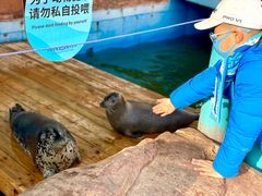 -大连圣亚海洋世界