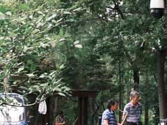 -新江湾城公园