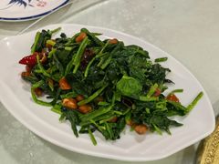 -听涛雅苑百味饺子老家菜馆