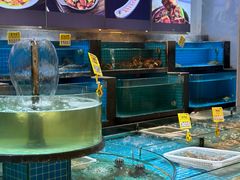 -梦都海鲜酒家(万达广场江桥店)