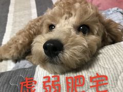 -嘿哟动霸CHUA·新潮玩运动娱乐中心·蹦床滑冰团建乐园