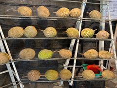 -都念榴莲·城市榴莲