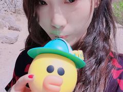 -白水寺森林公园