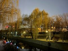 -元大都城垣遗址公园