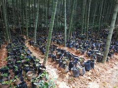 -黄公望隐居地