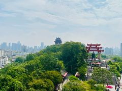 -黄鹤楼公园(黄鹤楼)