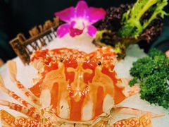 茅台熟醉红花蟹-金龙·打边炉(南京西路店)