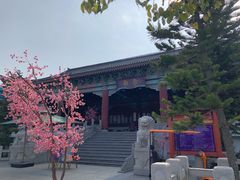 -厦门方特梦幻王国