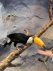 -Zoolung Zoolung动物主题公园(海信广场店)