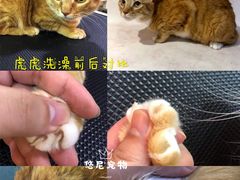 -悠尼宠物·独立低压伊珊娜洗护·美容·寄养(兰谷路店)