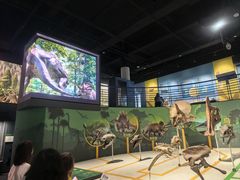 -国家自然博物馆