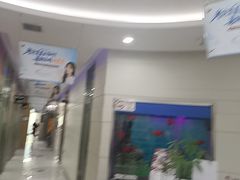 -雅悦齿科(顾村公园店)
