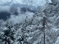 -黄龙山原始森林景区