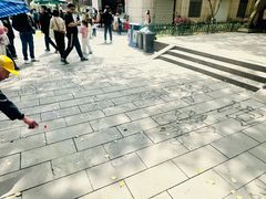 -峙山公园
