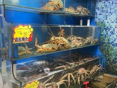 -蚝专家(北滘店)