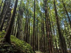 -山王坪喀斯特国家生态公园