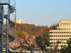 -新世界百货(明洞总店)