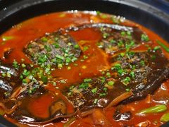许家黄焖汉寿甲鱼-许家菜(望江店)