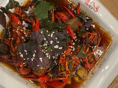 -海岛八号龙虾烧烤田鸡(蓝天路总店)