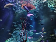 -沈阳海洋探索中心