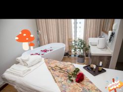 点击看大图 -芳香乐府SPA·五行芳疗