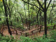-大岭沟猕猴桃谷风景区