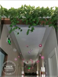 -尚艺造型.剪烫染.接发