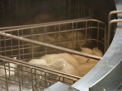 -东方饺子王精致餐厅(东盛路店)