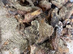 -活鱼馆(宜兴埠店)