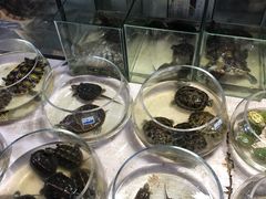 -万商花鸟市场