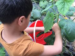 -兰陵国家农业公园