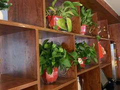 -晓秧锅鲜货火锅·重庆老字号(步步高店)