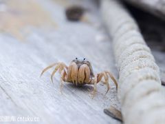 -老东吴食府(雅都店)