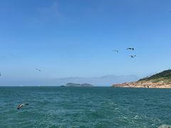 -海驴岛(荣成市)