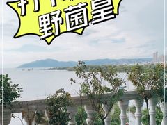 -野菌皇海景野生菌火锅(滨海大道店)