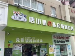 -唐小姐の私宠·宠物洗护美容·撸猫馆·购宠(周浦万达旗舰店)