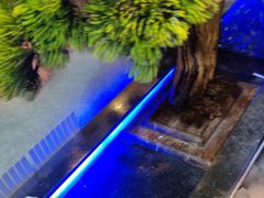 -圣罗巴海鲜烤肉自助(佳兆业店)