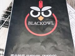 -猫头鹰炸鸡