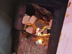 -高家小院铁锅炖大鹅(哈西高铁站店)