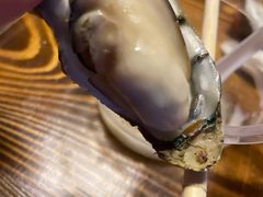 -土蚝·高压锅生蚝(百姓美食街店)
